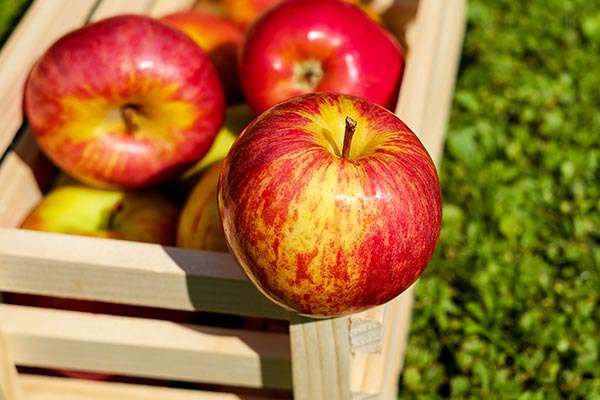 Le Fraisier, cidre français sans alcool par Cidre Mauret