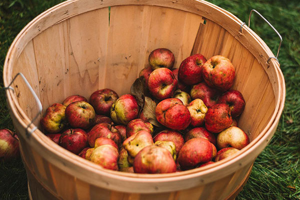 Cider Fruité par Cidre Mauret, le cidre français et naturel