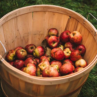 Cider Praliné par Cidre Mauret, le cidre français et naturel